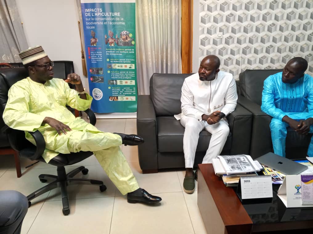 Crédit carbone : deux projets de foyers améliorés et de reboisement présentés au ministre FOLI BAZI Katari